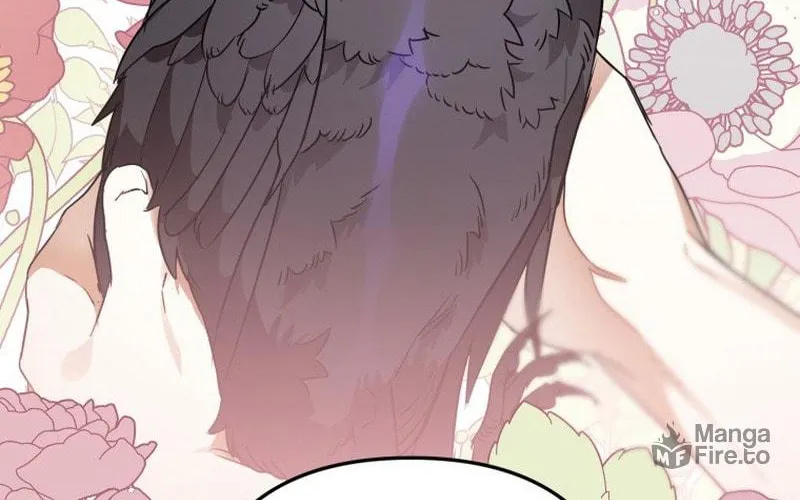 Read The Crow
