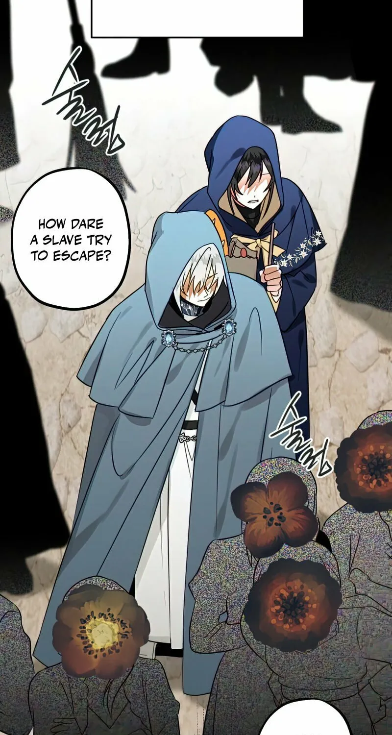 Read The Crow
