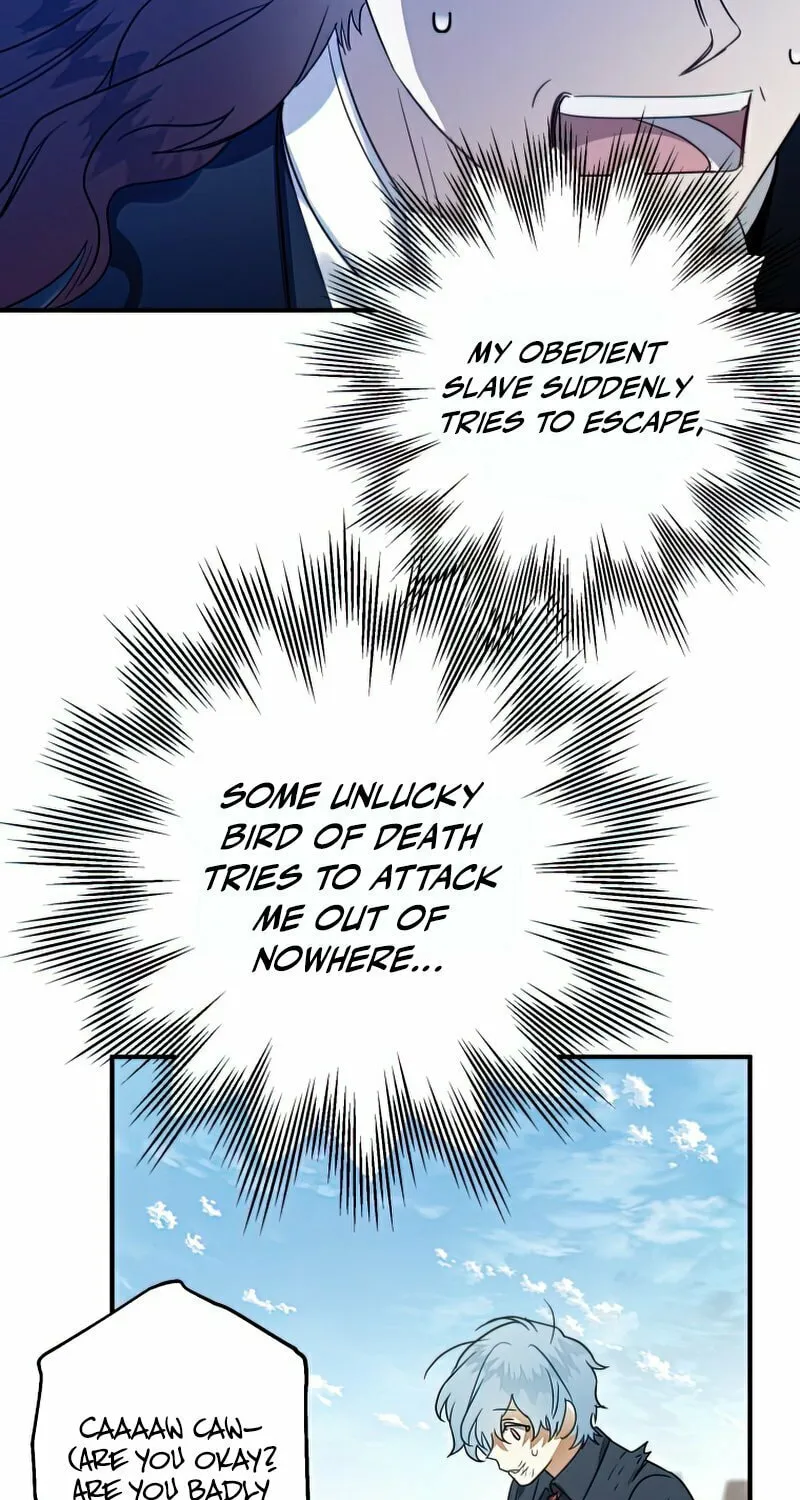 Read The Crow