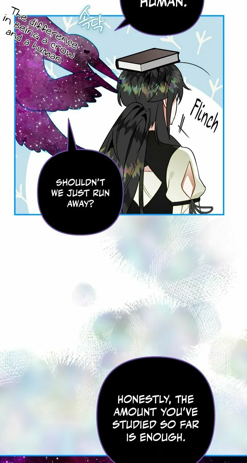 Read The Crow