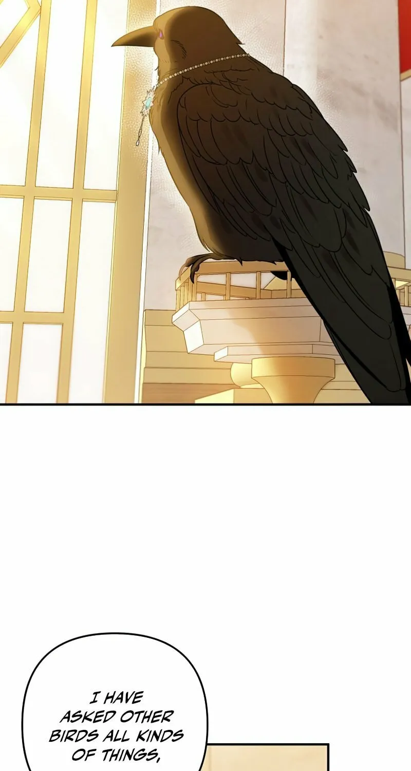 Read The Crow