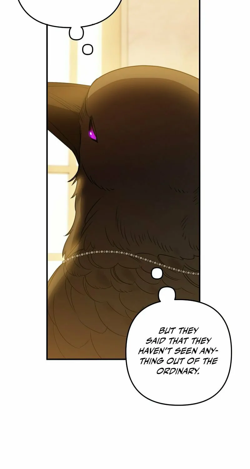 Read The Crow