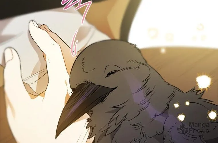 Read The Crow