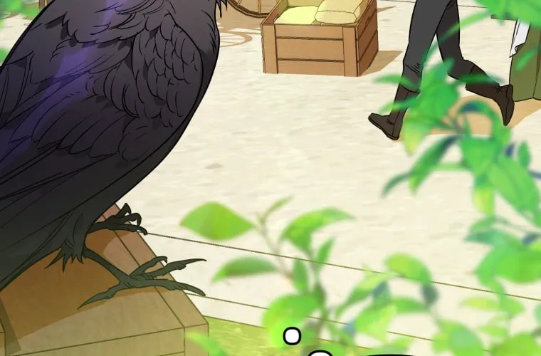 Read The Crow