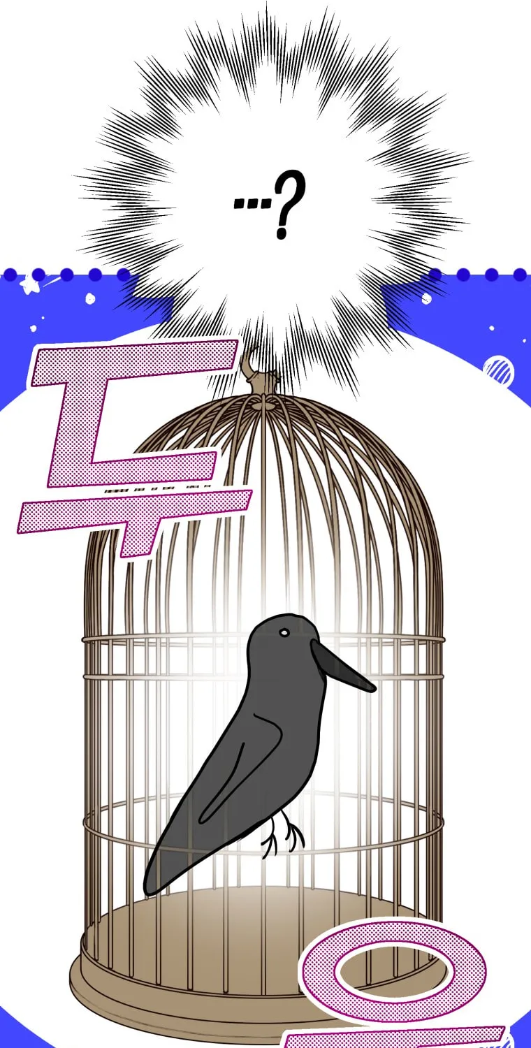 Read The Crow