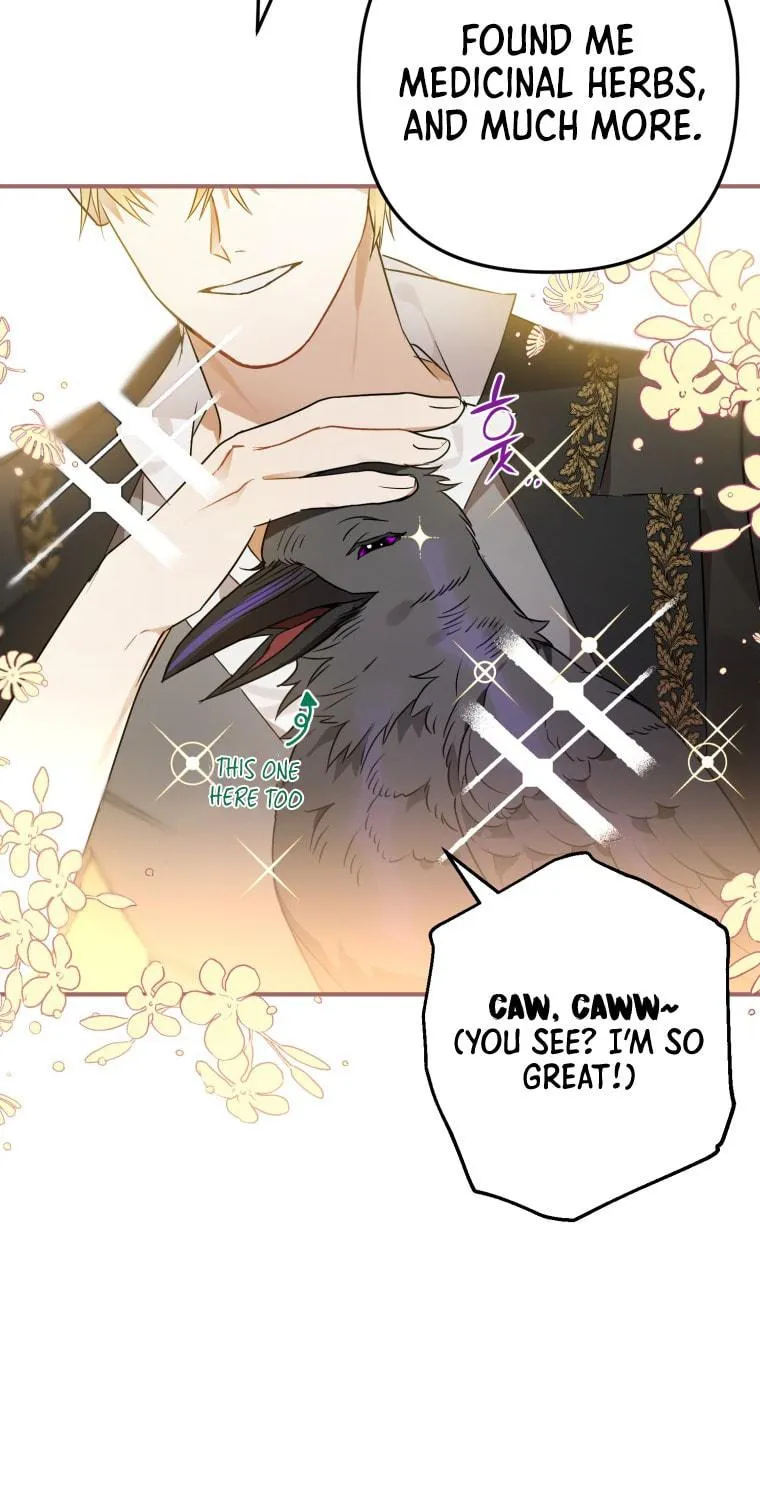 Read The Crow