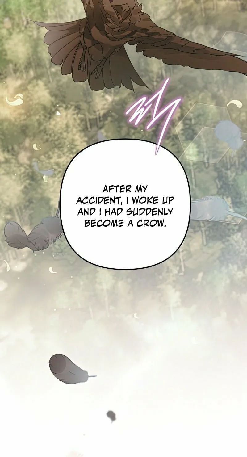 Read The Crow