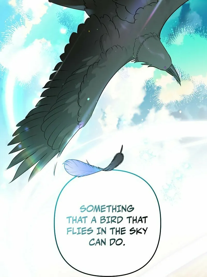 Read The Crow