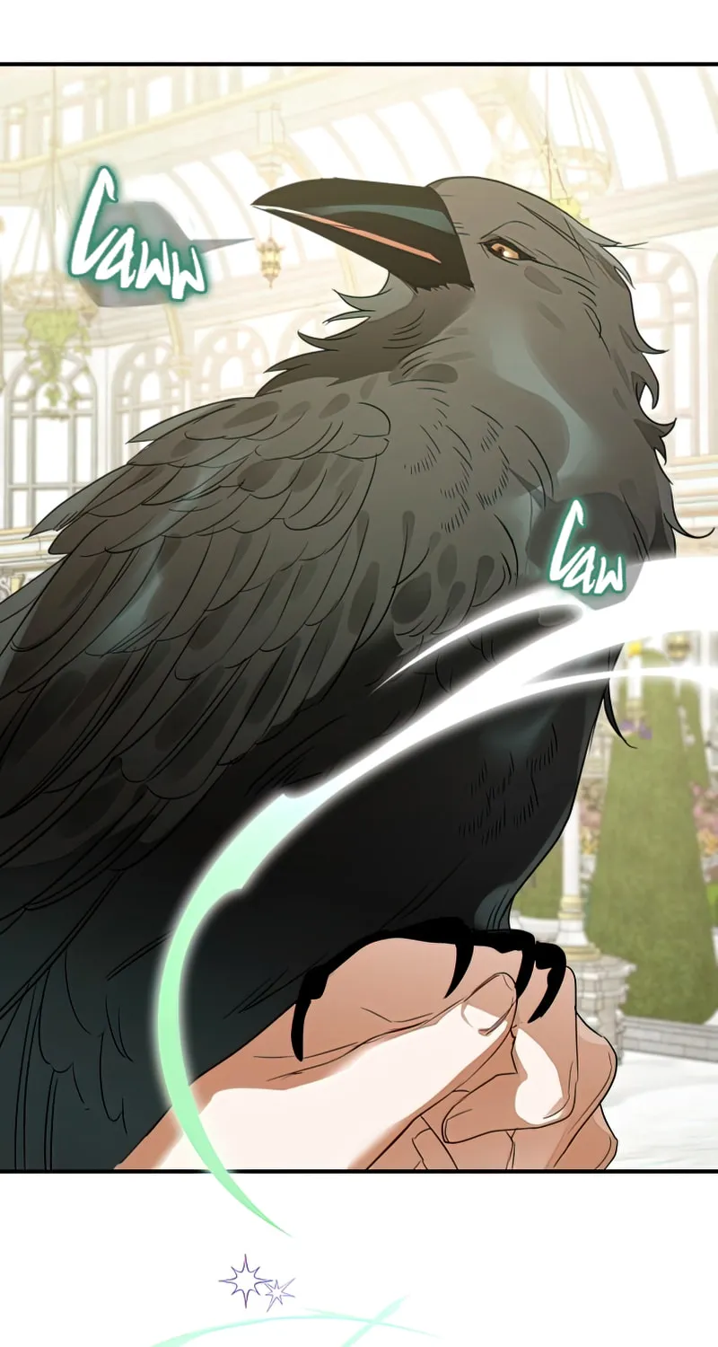 Read The Crow