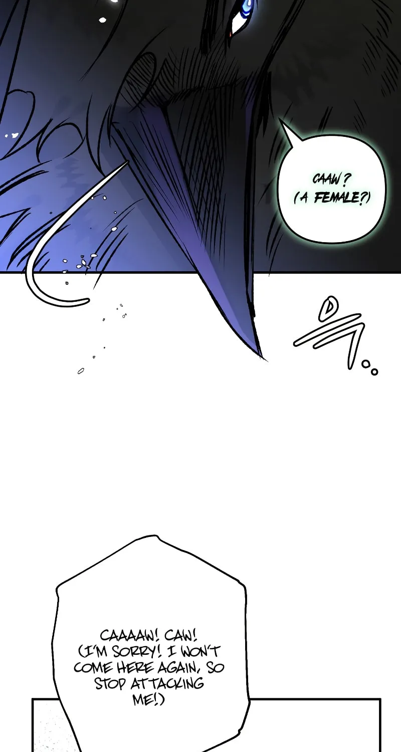 Read The Crow