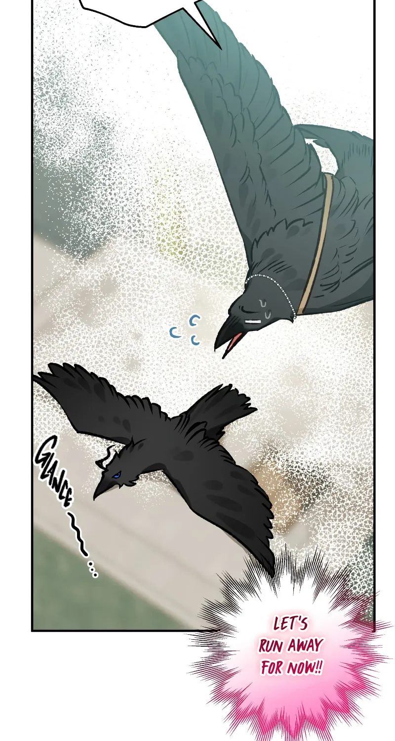 Read The Crow