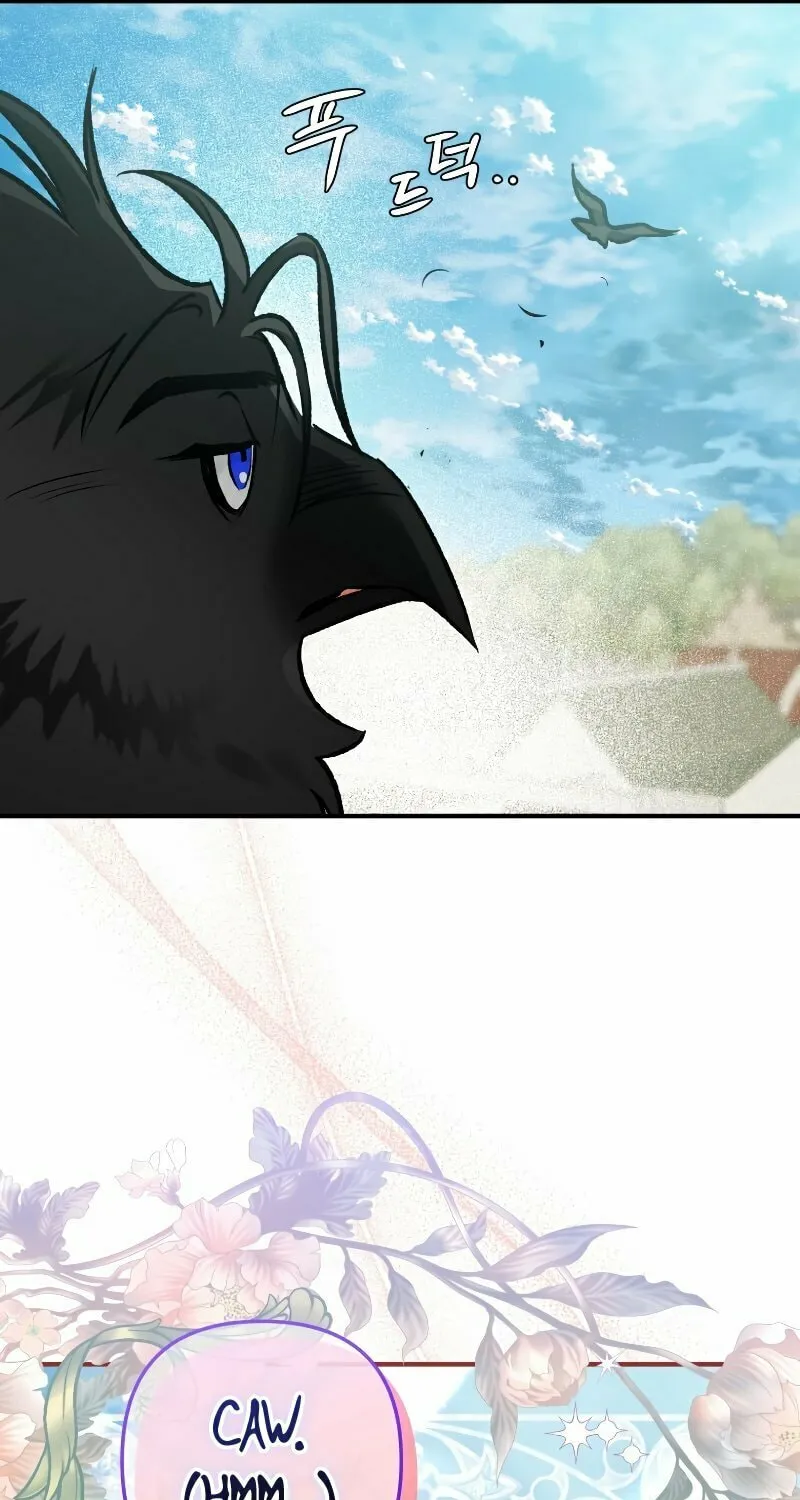 Read The Crow