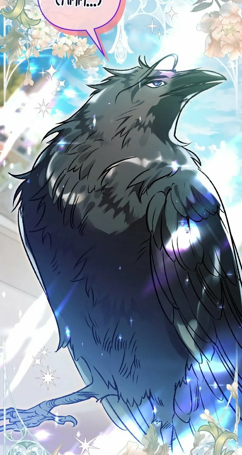 Read The Crow