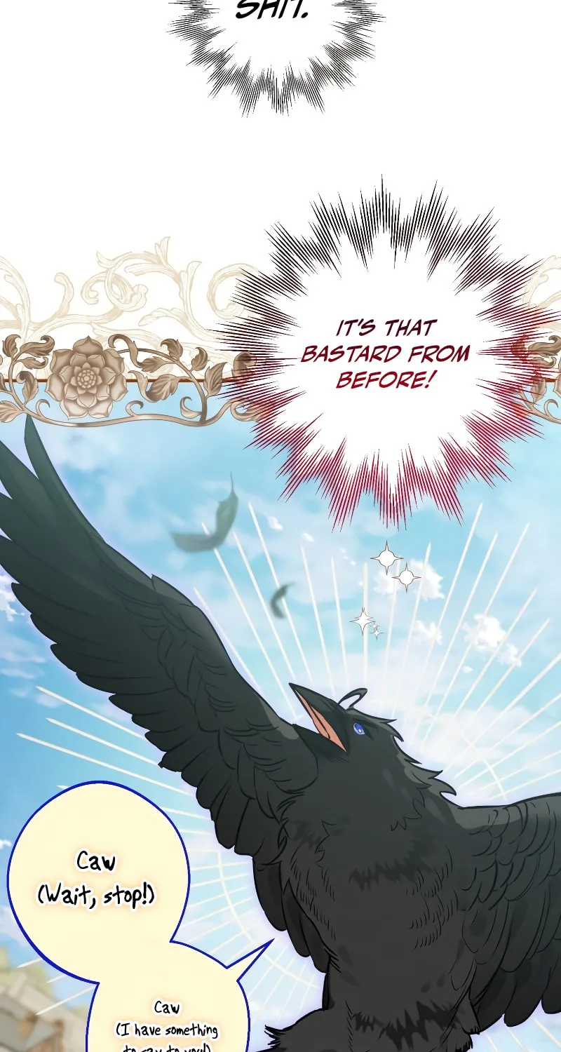 Read The Crow