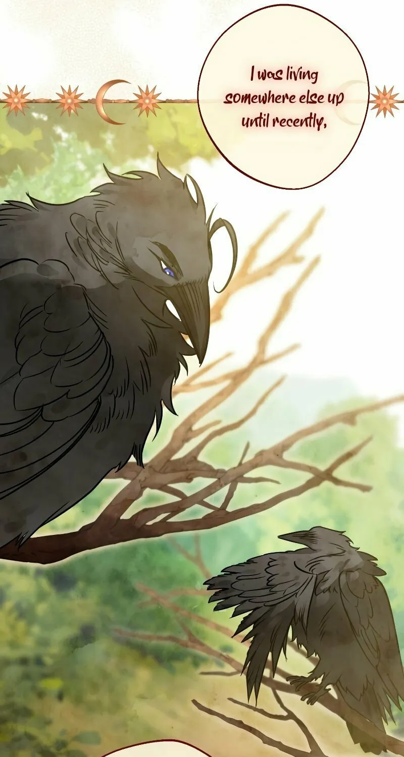 Read The Crow