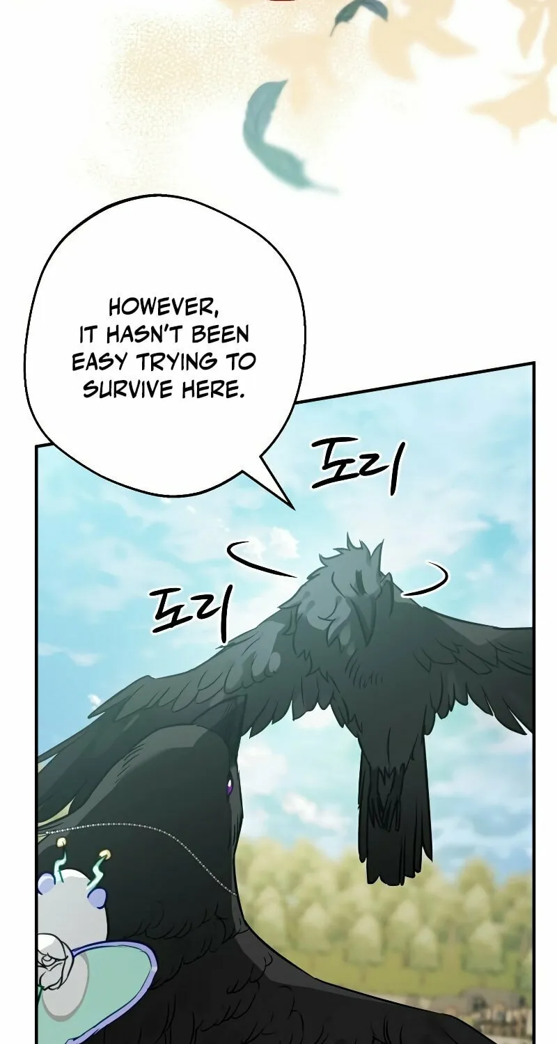 Read The Crow