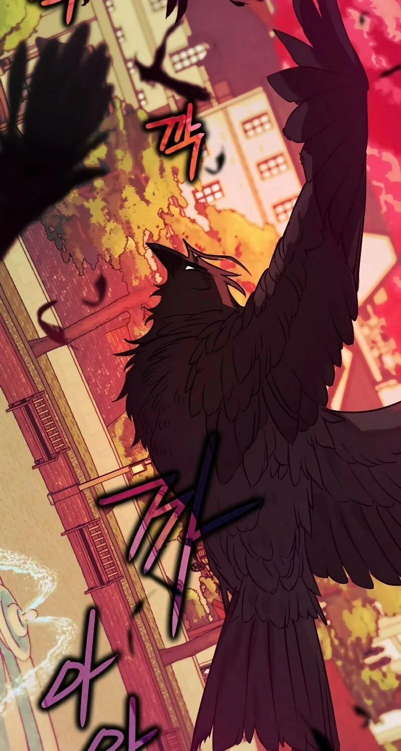 Read The Crow