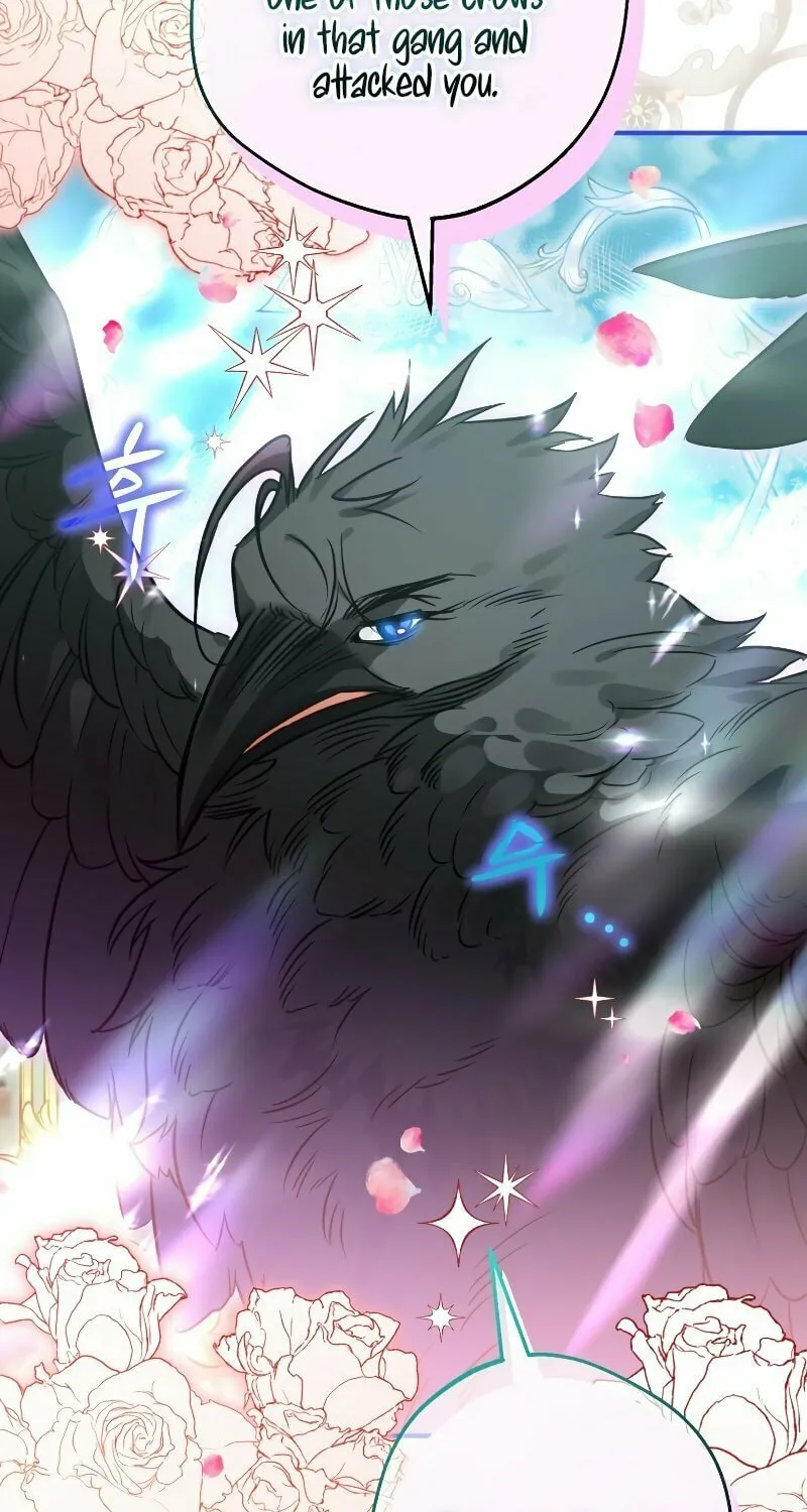Read The Crow