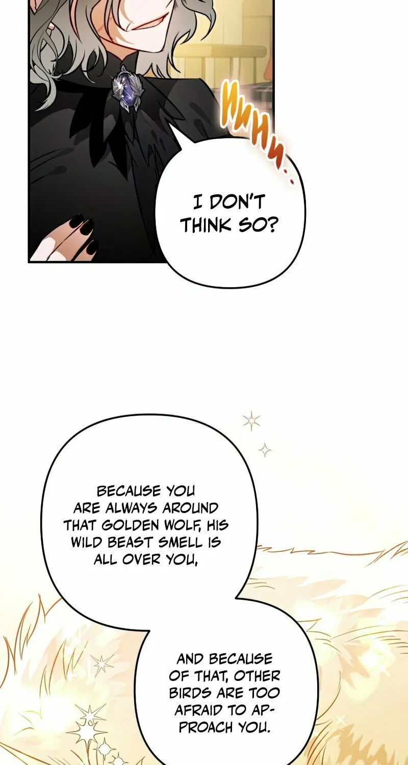 Read The Crow