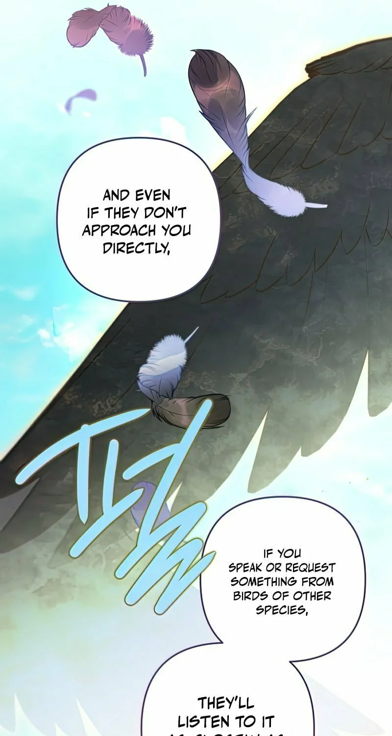 Read The Crow