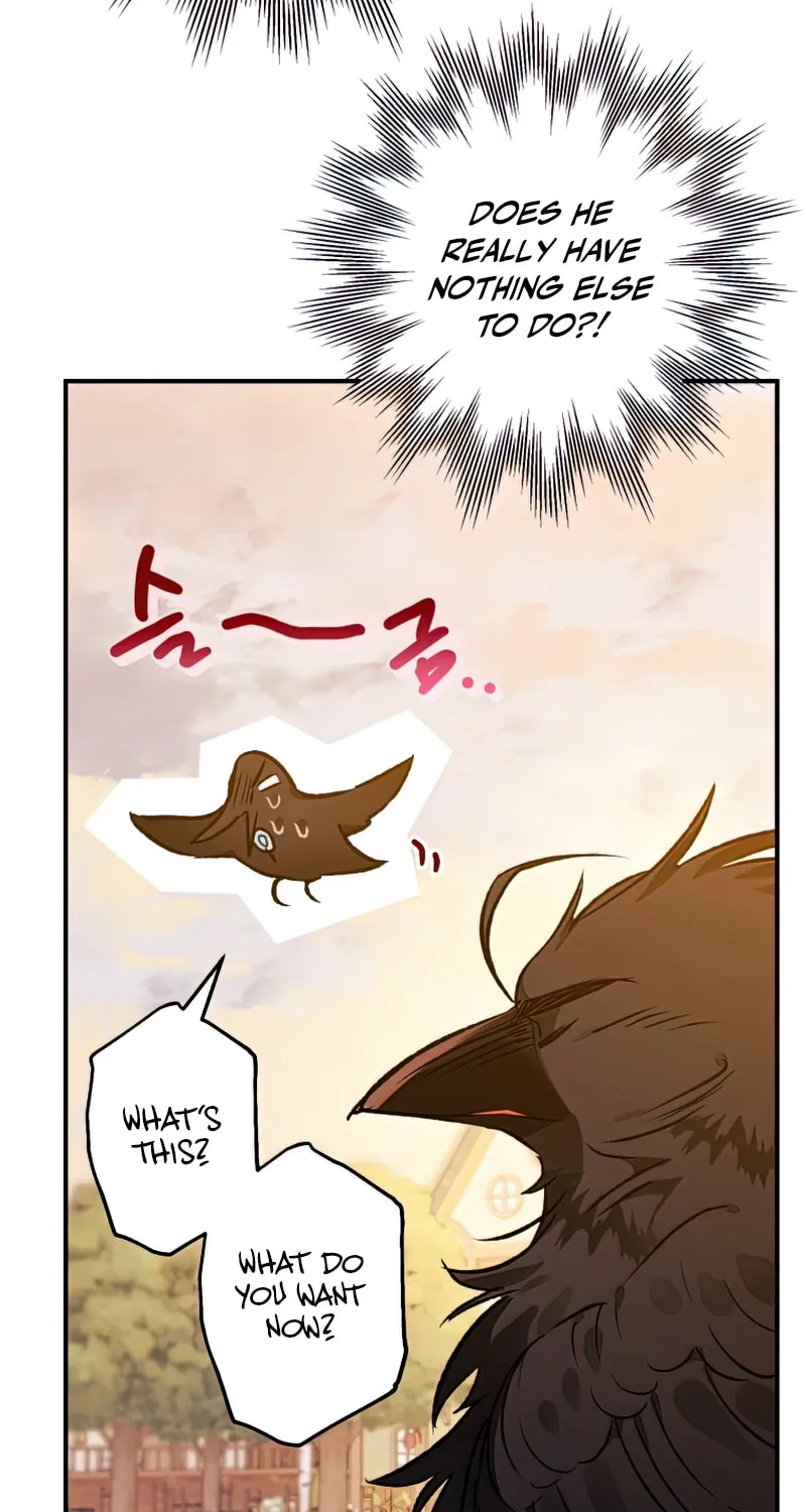Read The Crow
