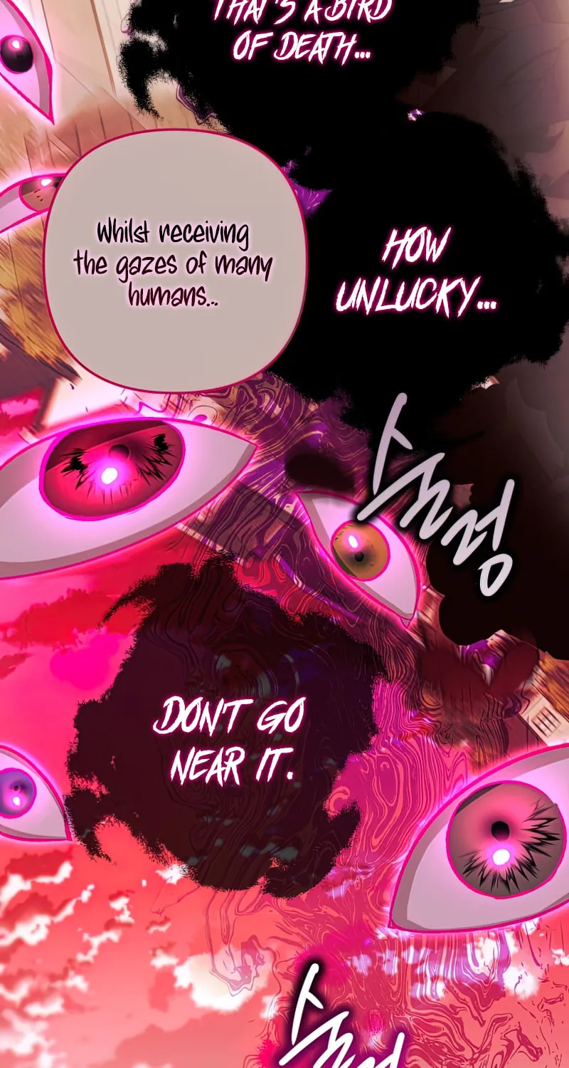 Read The Crow