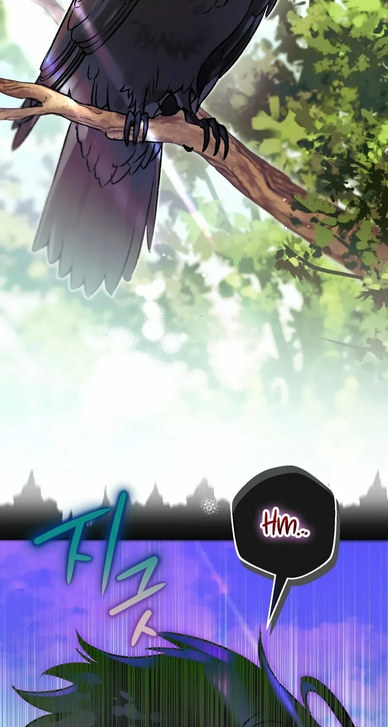 Read The Crow