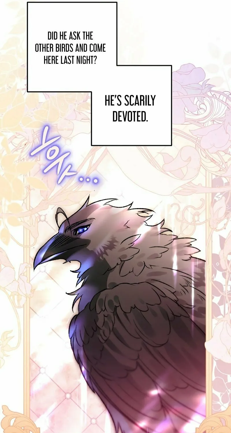 Read The Crow