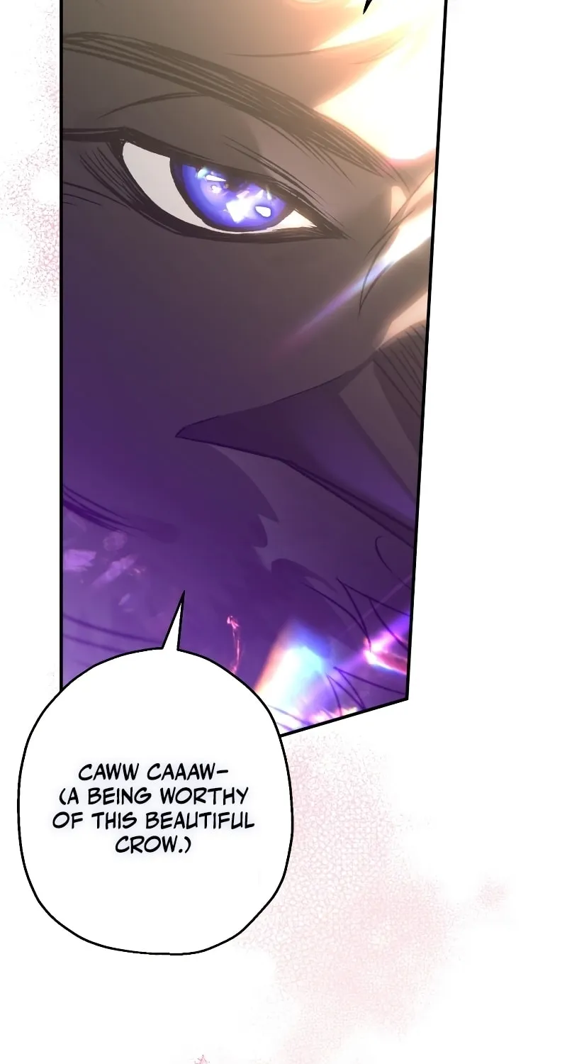 Read The Crow