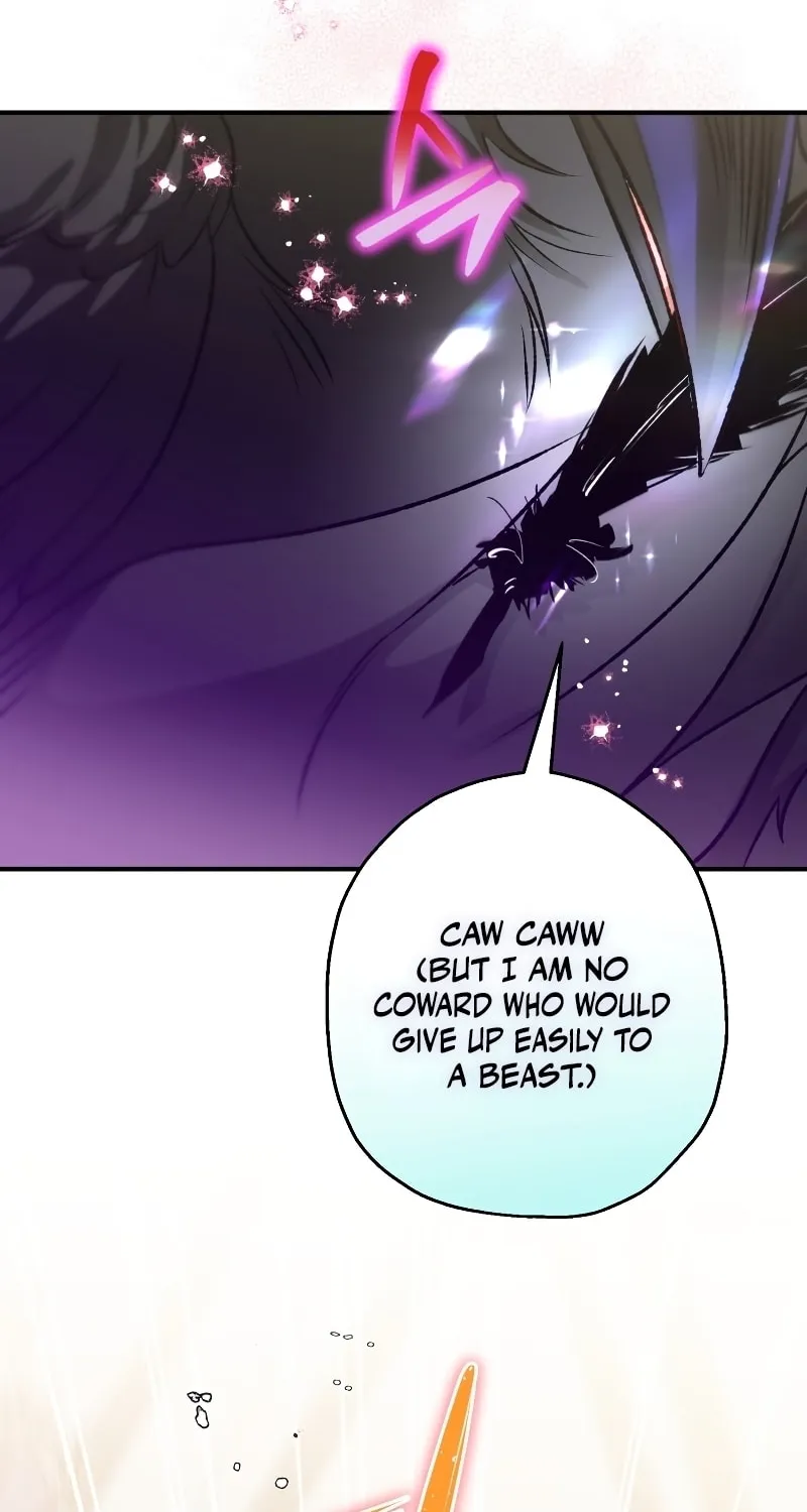 Read The Crow