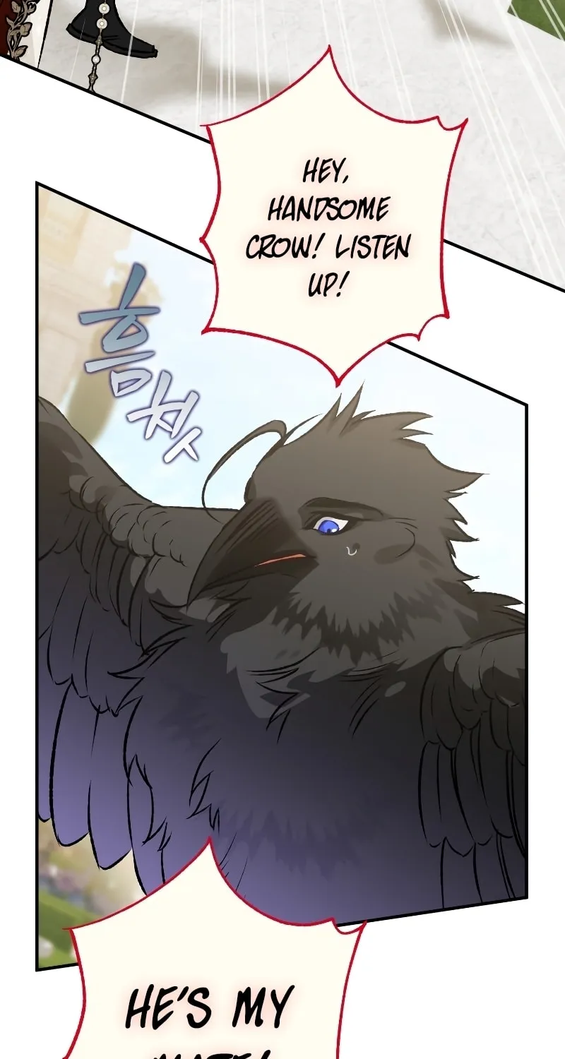Read The Crow