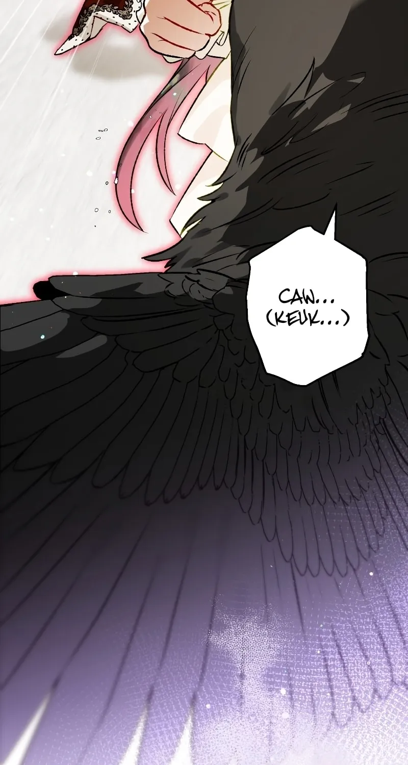 Read The Crow