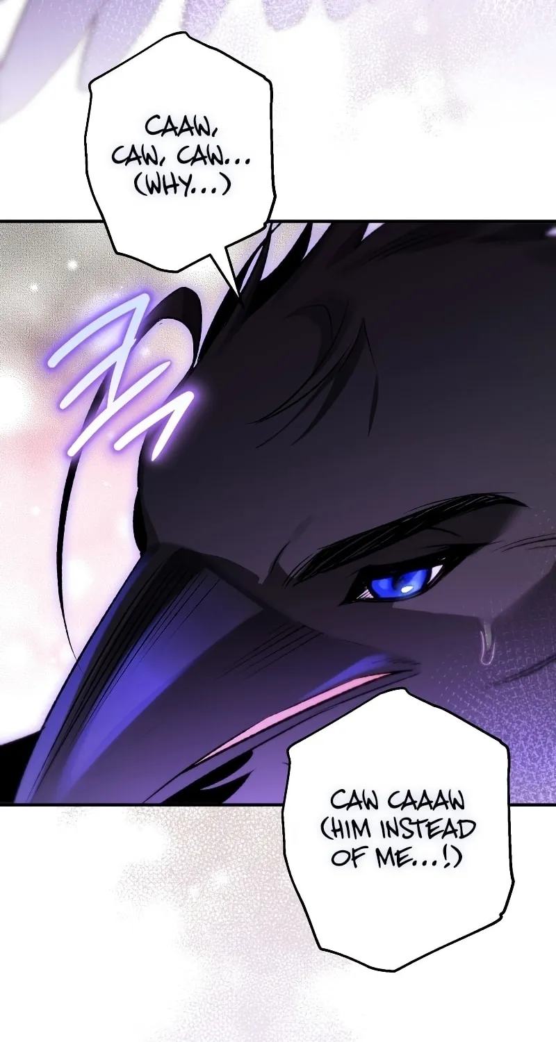 Read The Crow