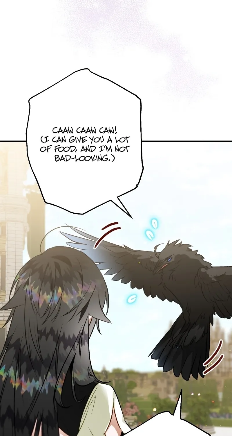 Read The Crow