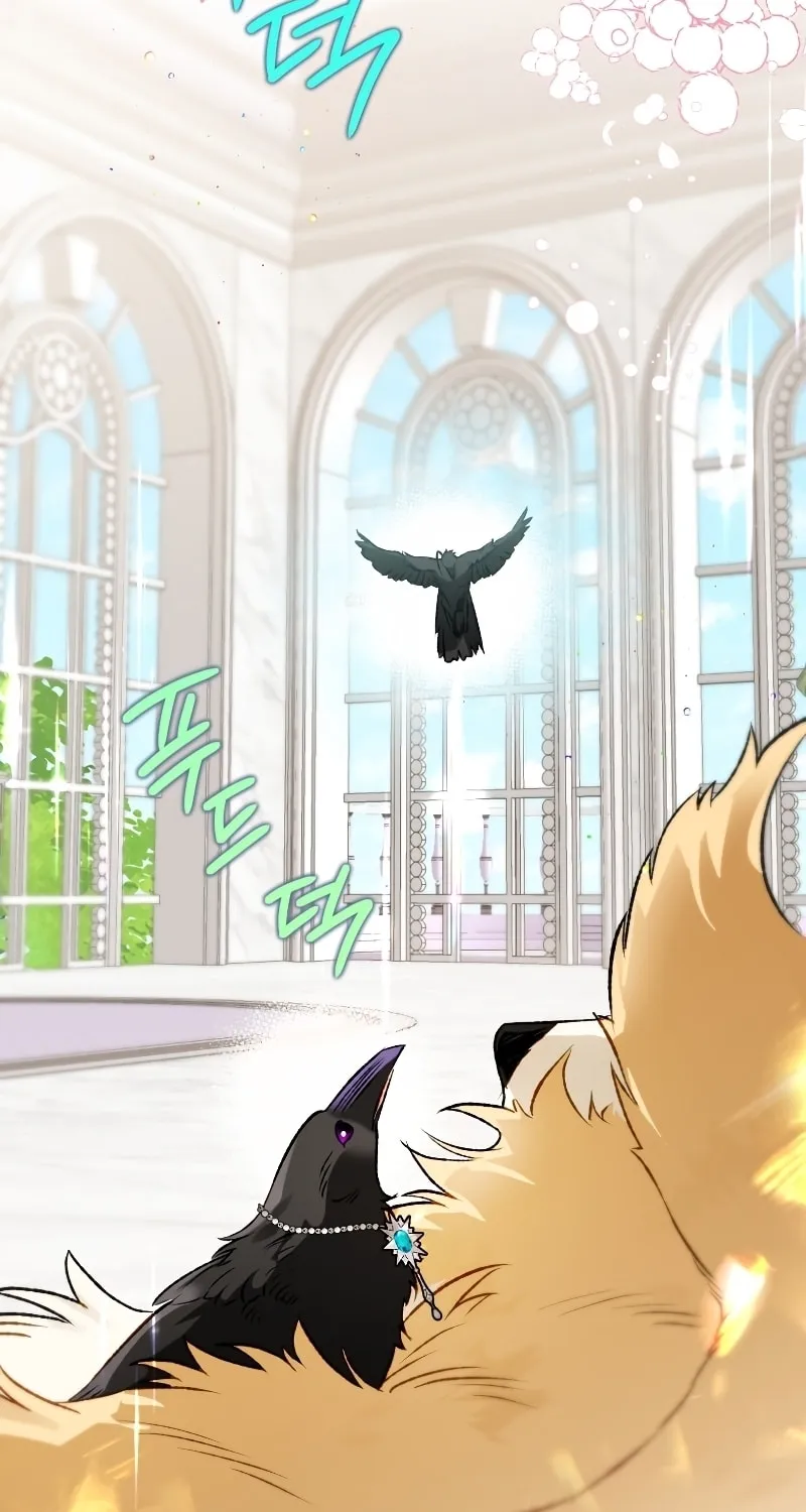 Read The Crow
