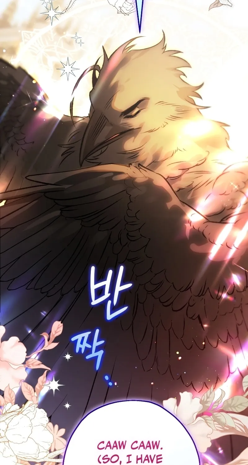Read The Crow