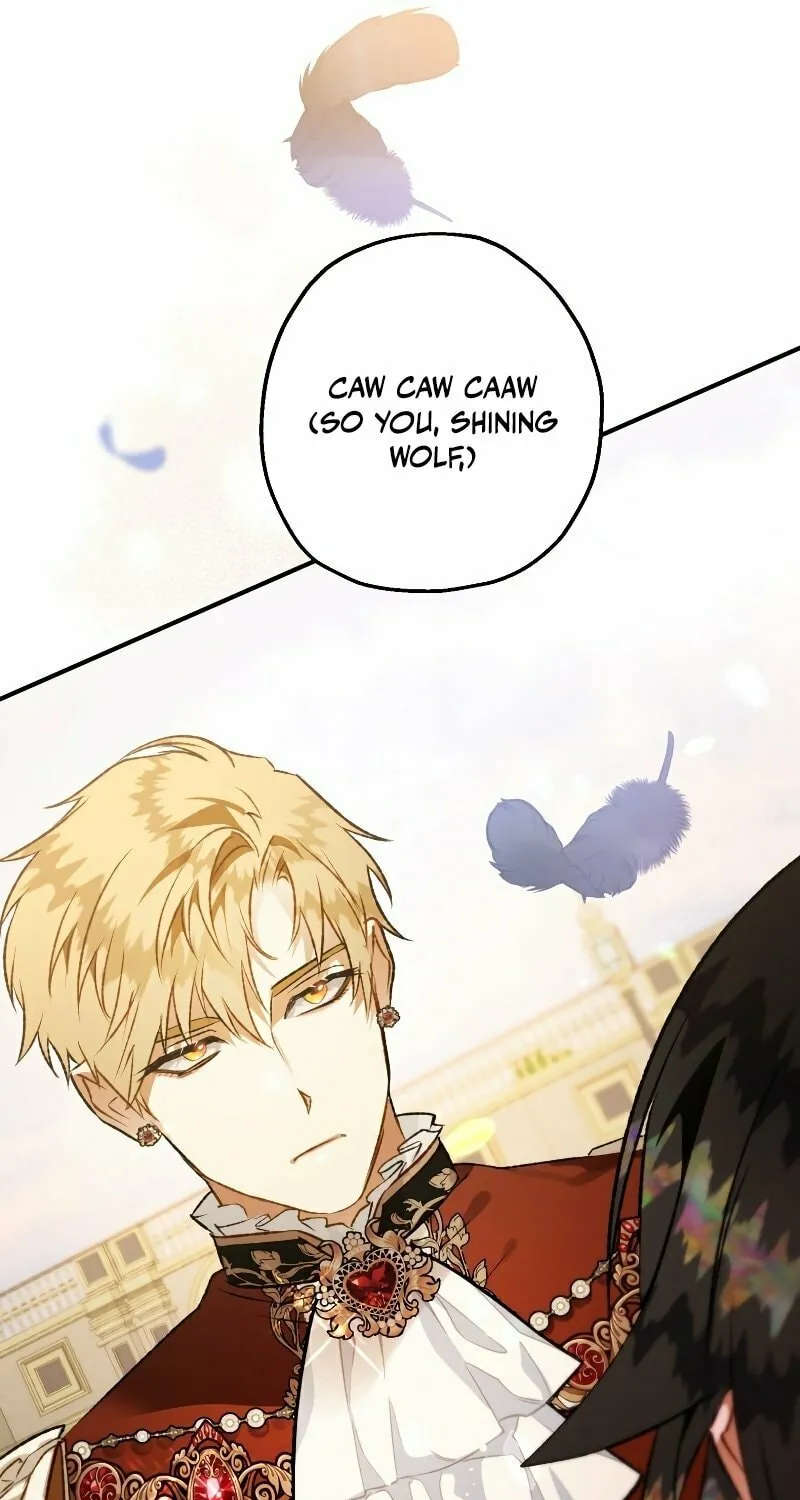 Read The Crow