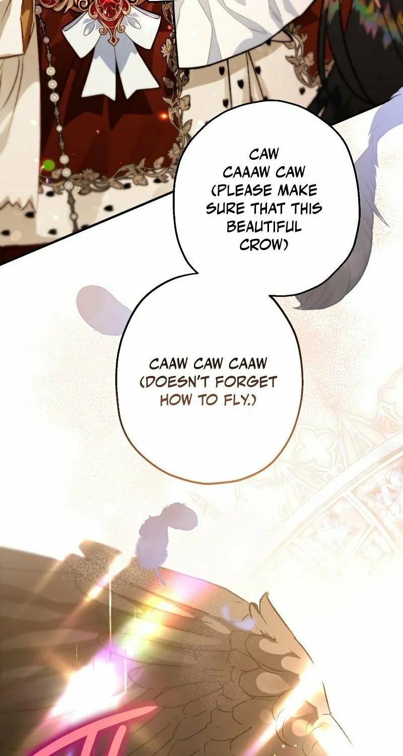 Read The Crow