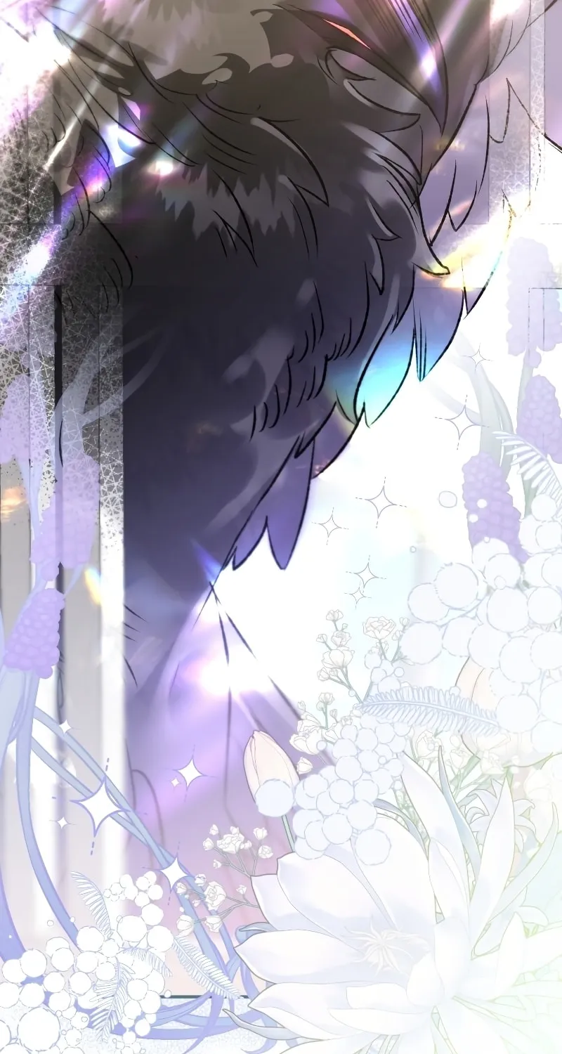 Read The Crow