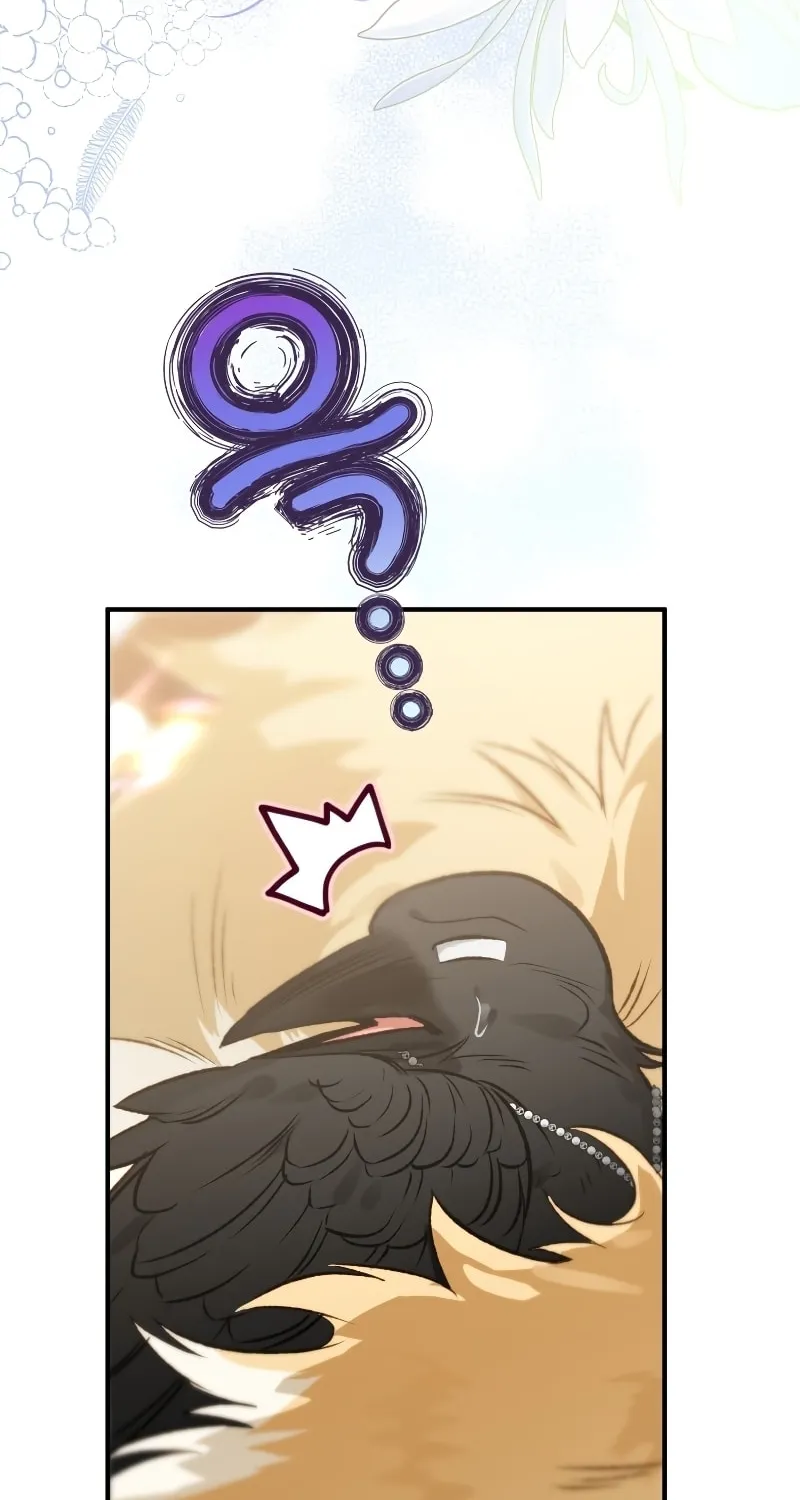 Read The Crow