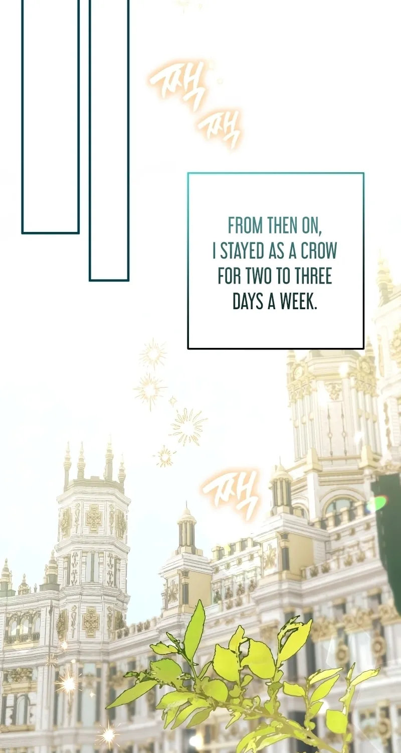 Read The Crow