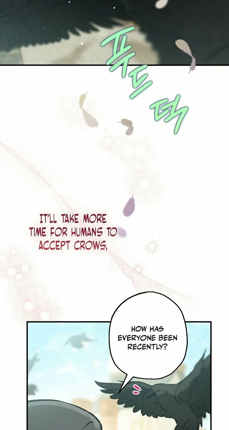Read The Crow