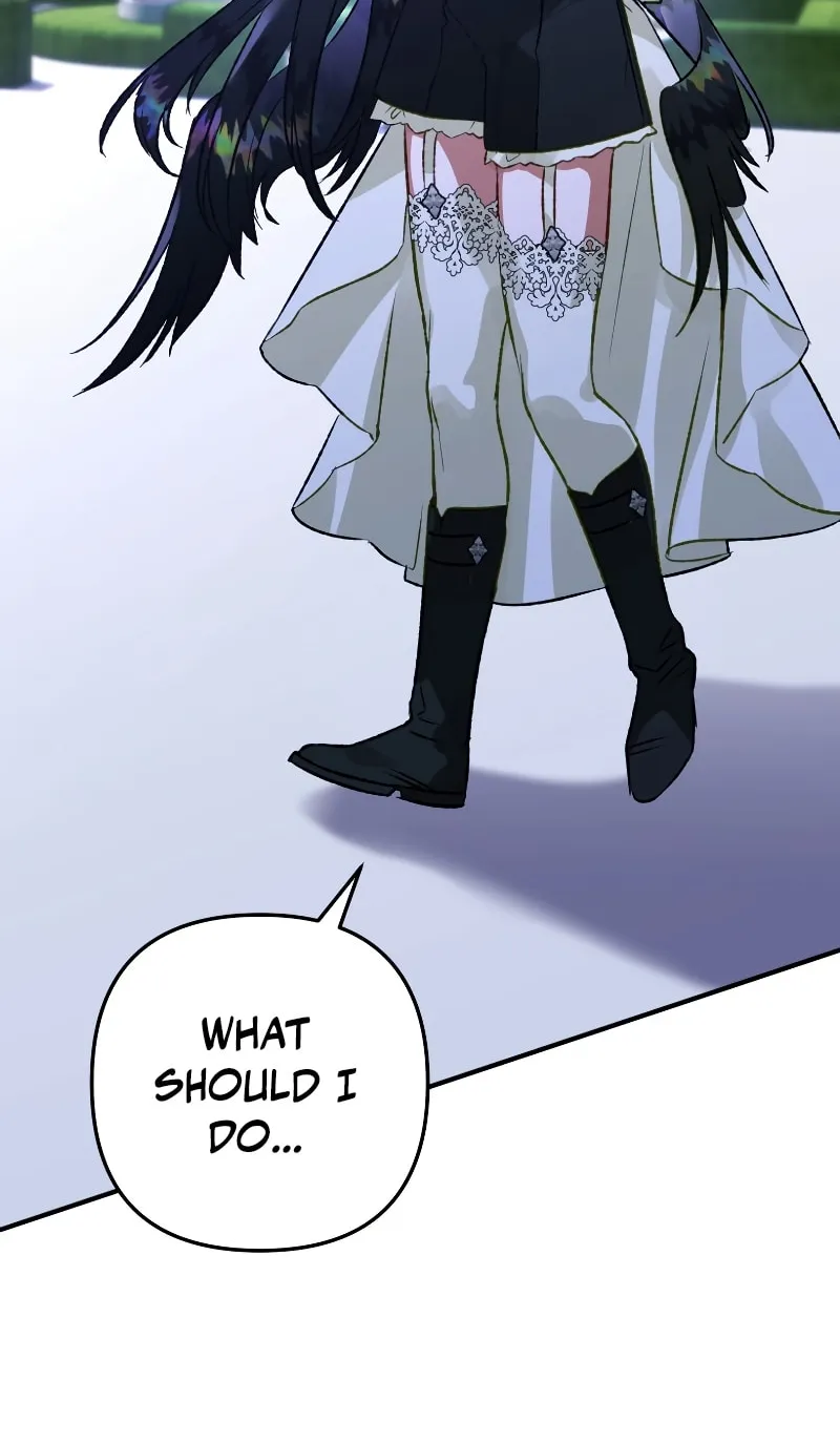 Read The Crow