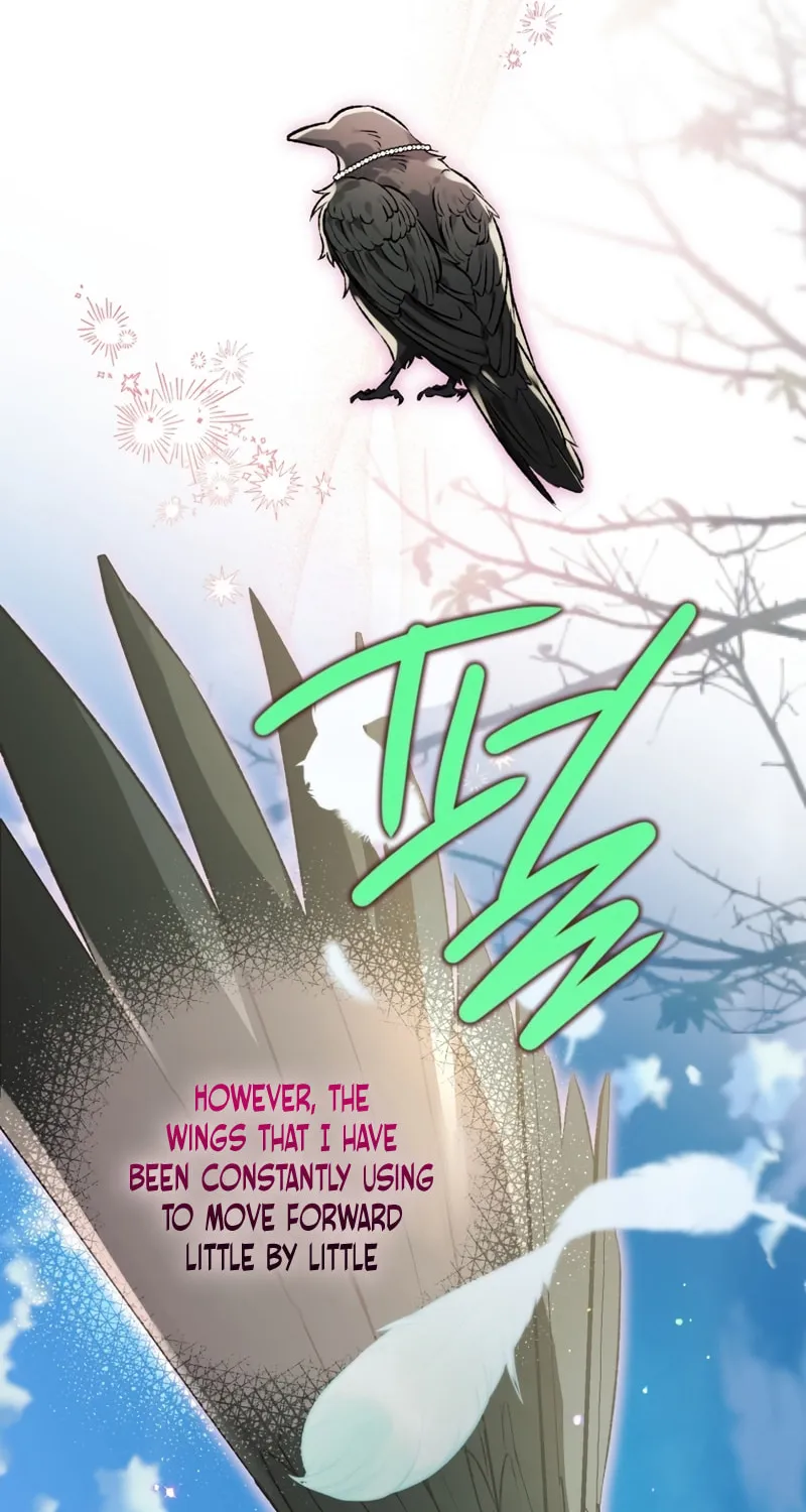 Read The Crow