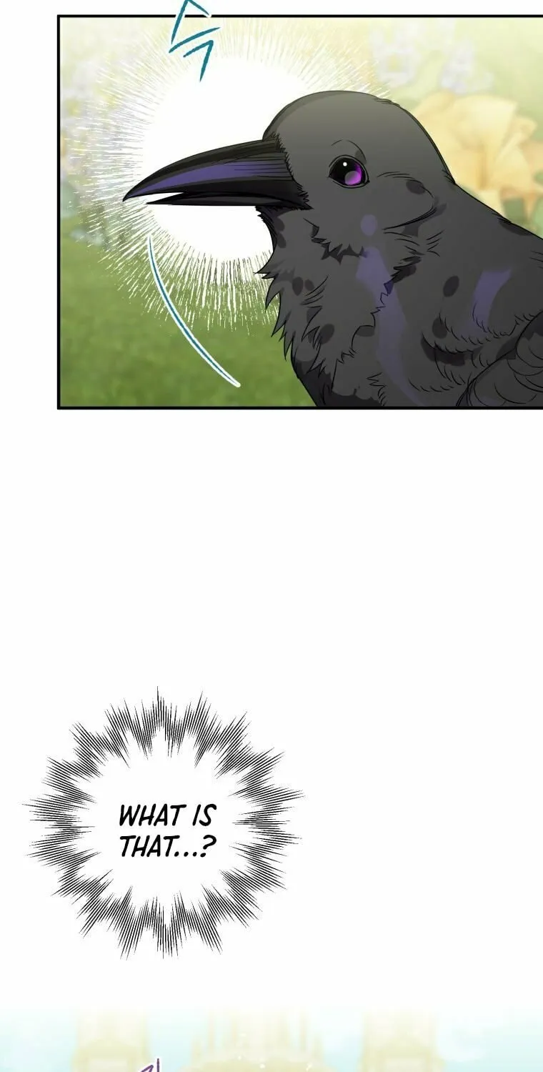 Read The Crow