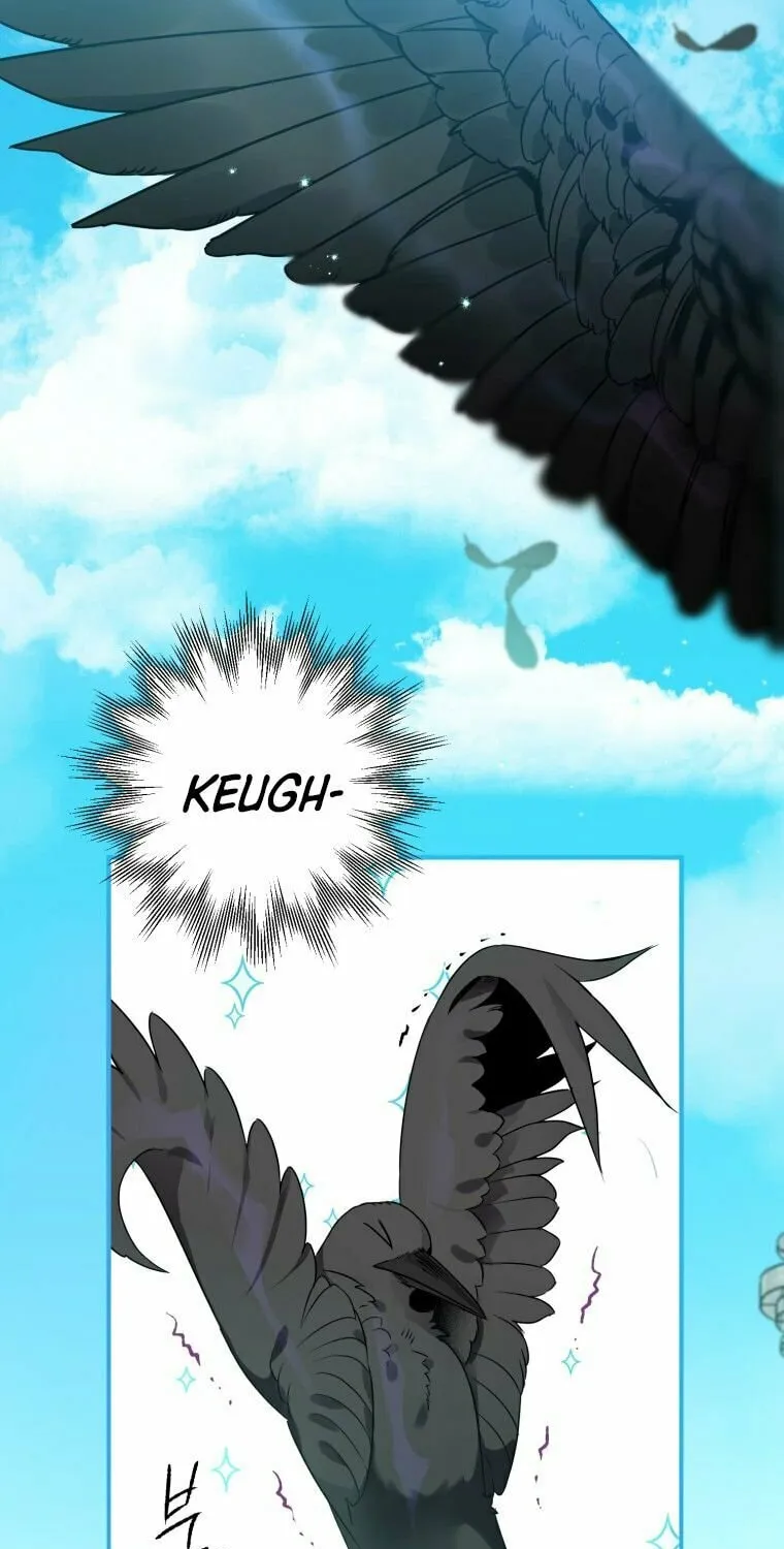 Read The Crow
