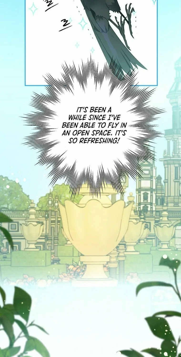 Read The Crow