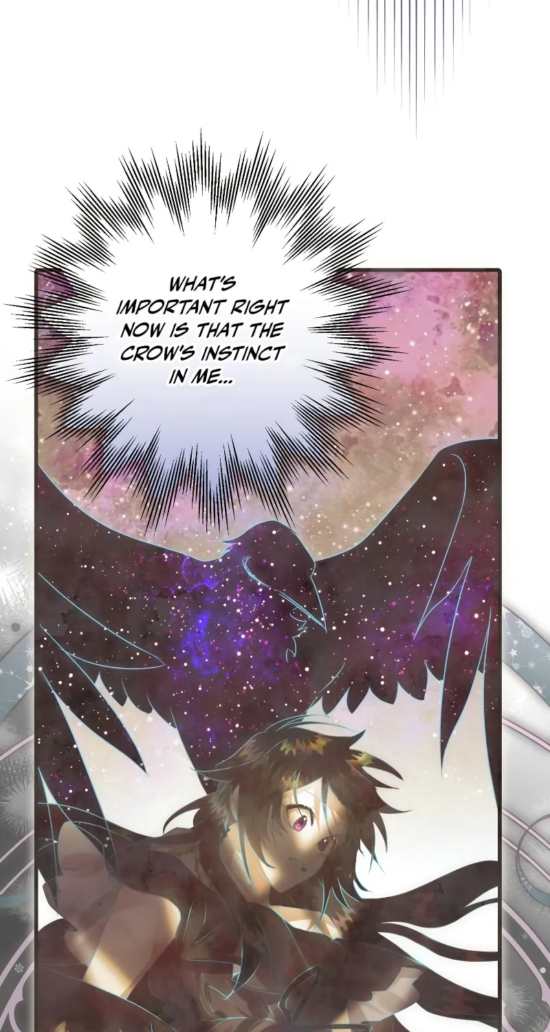 Read The Crow
