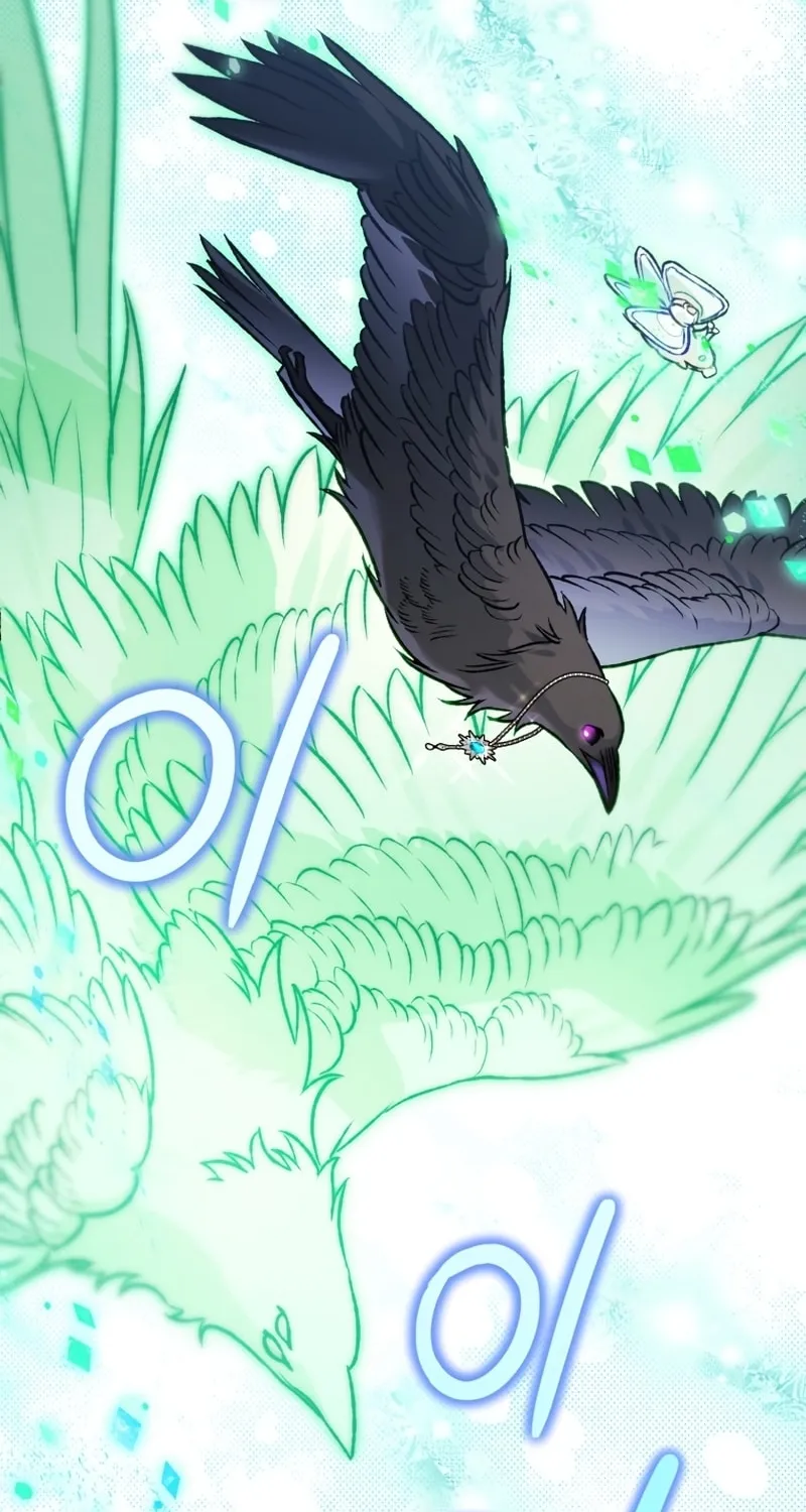 Read The Crow