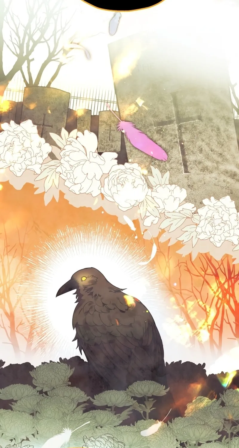 Read The Crow